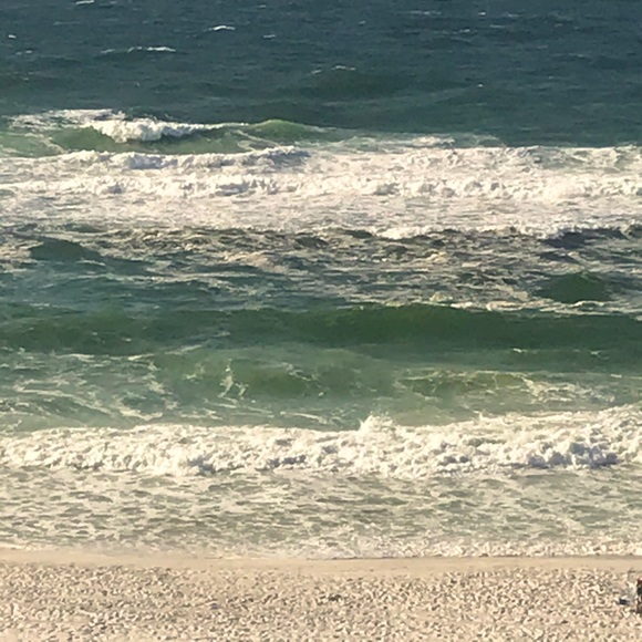 Meet your Posher, Shelbe - Picture 1 of 1